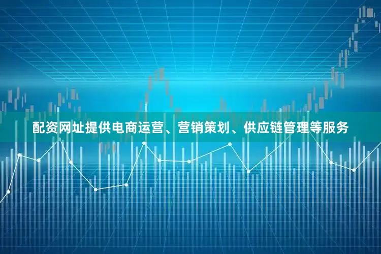 配资网址提供电商运营、营销策划、供应链管理等服务