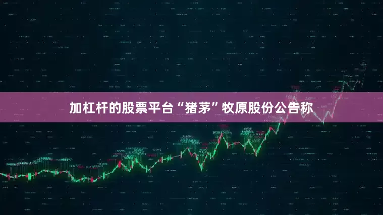 加杠杆的股票平台“猪茅”牧原股份公告称